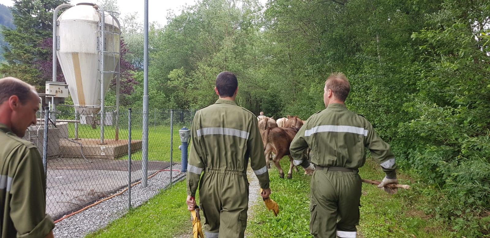 Tierrettung im Gleisbereich