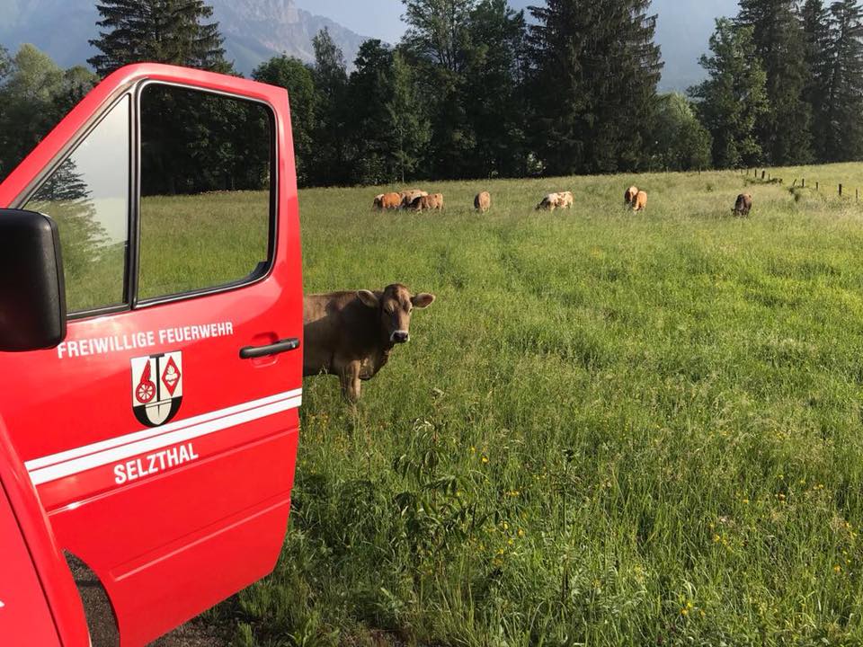Tierrettung im Gleisbereich