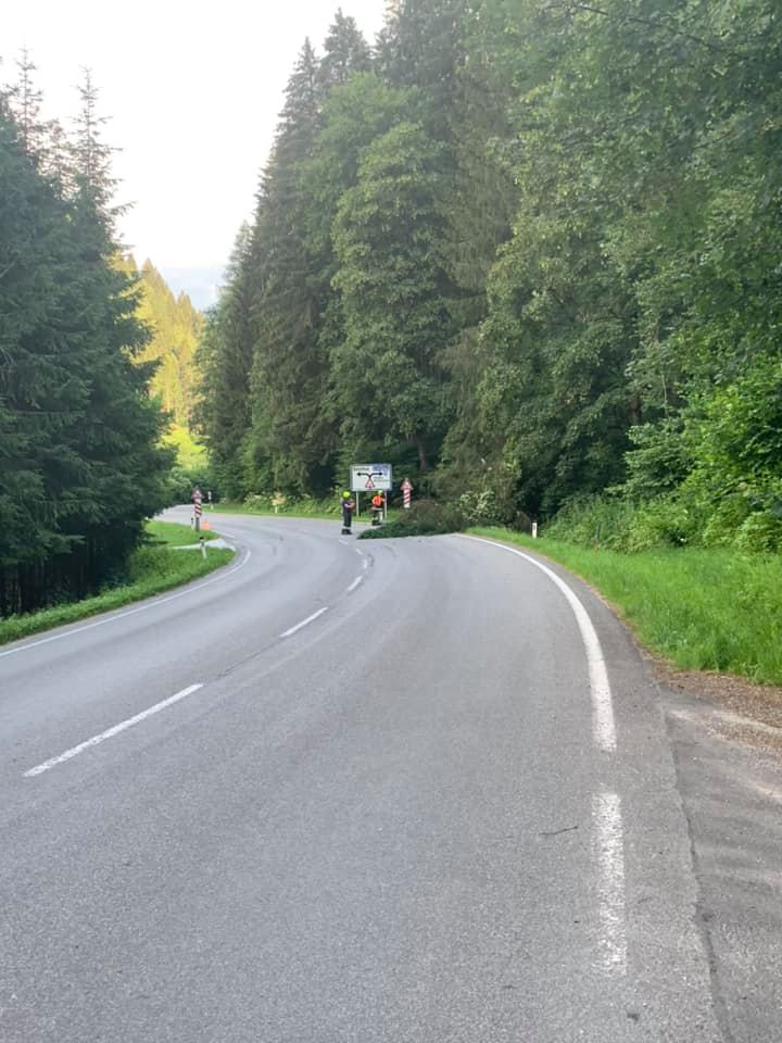 Baum über Straße