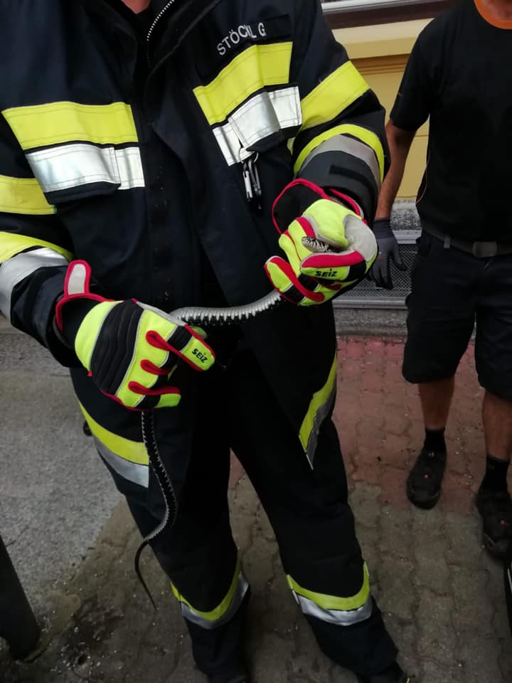 Tierrettung aus Fahrzeug